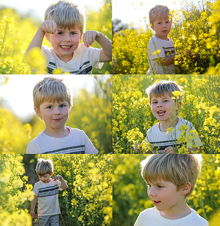 Ernest banner for inst